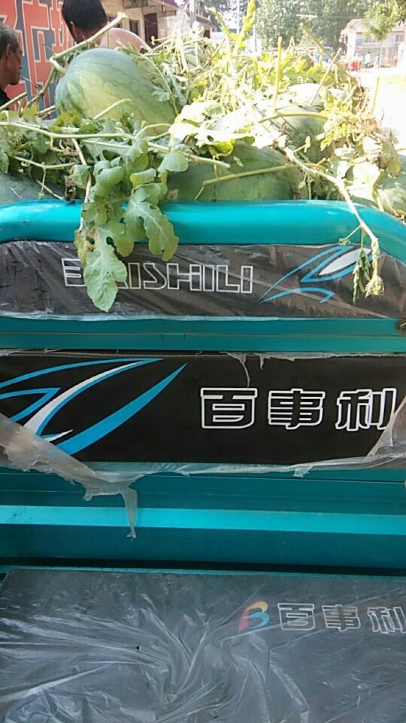 龙卷风西瓜