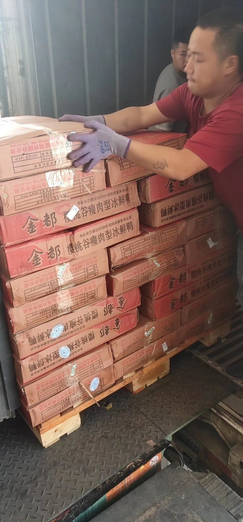 金都白条鸭