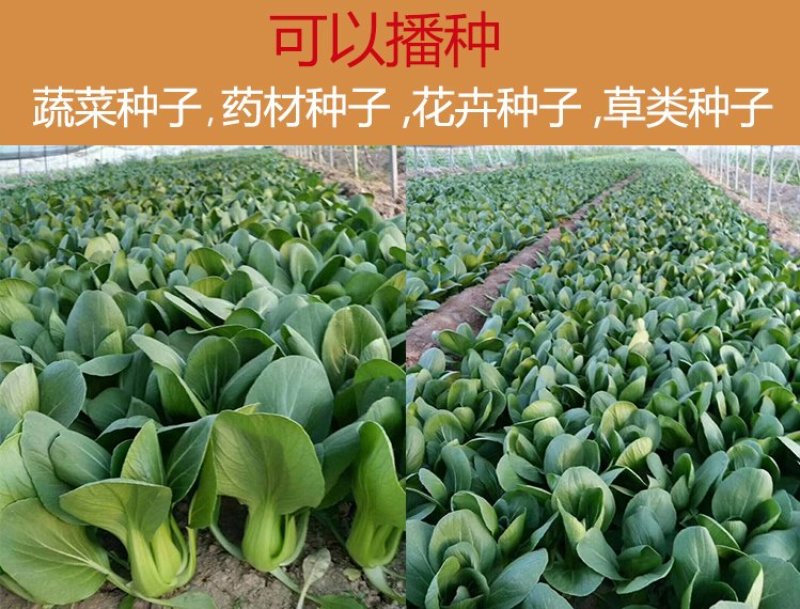 青菜萝卜小葱辣椒手推蔬菜播种机小颗粒种子药材播种机人力播