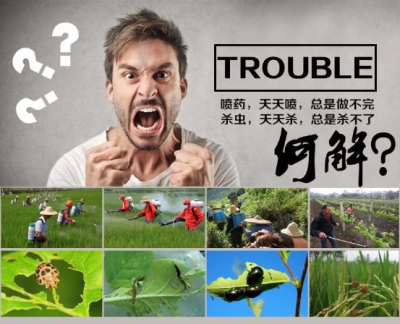 温室大棚杀虫灯果园杀虫灯，大田诱虫灯！养殖杀虫灯