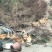 龙城跑山鸡，