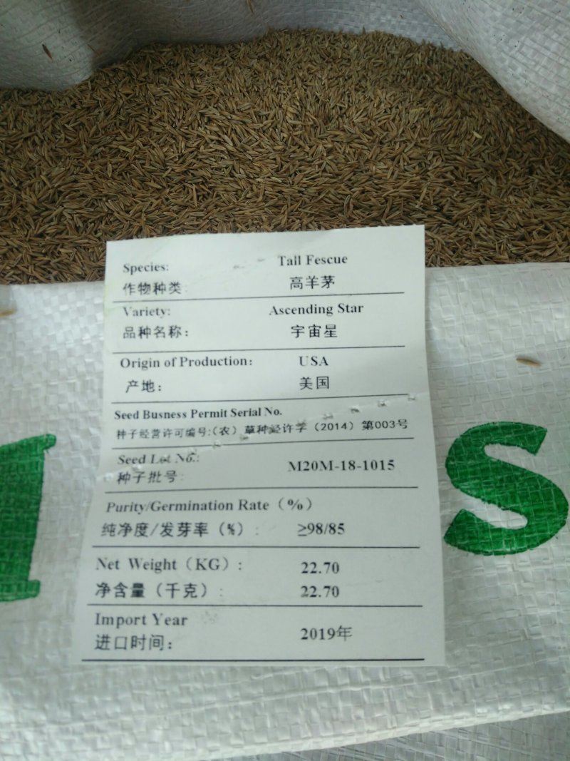 护坡草坪种子有哪些，早熟禾，高羊茅，黑麦草。