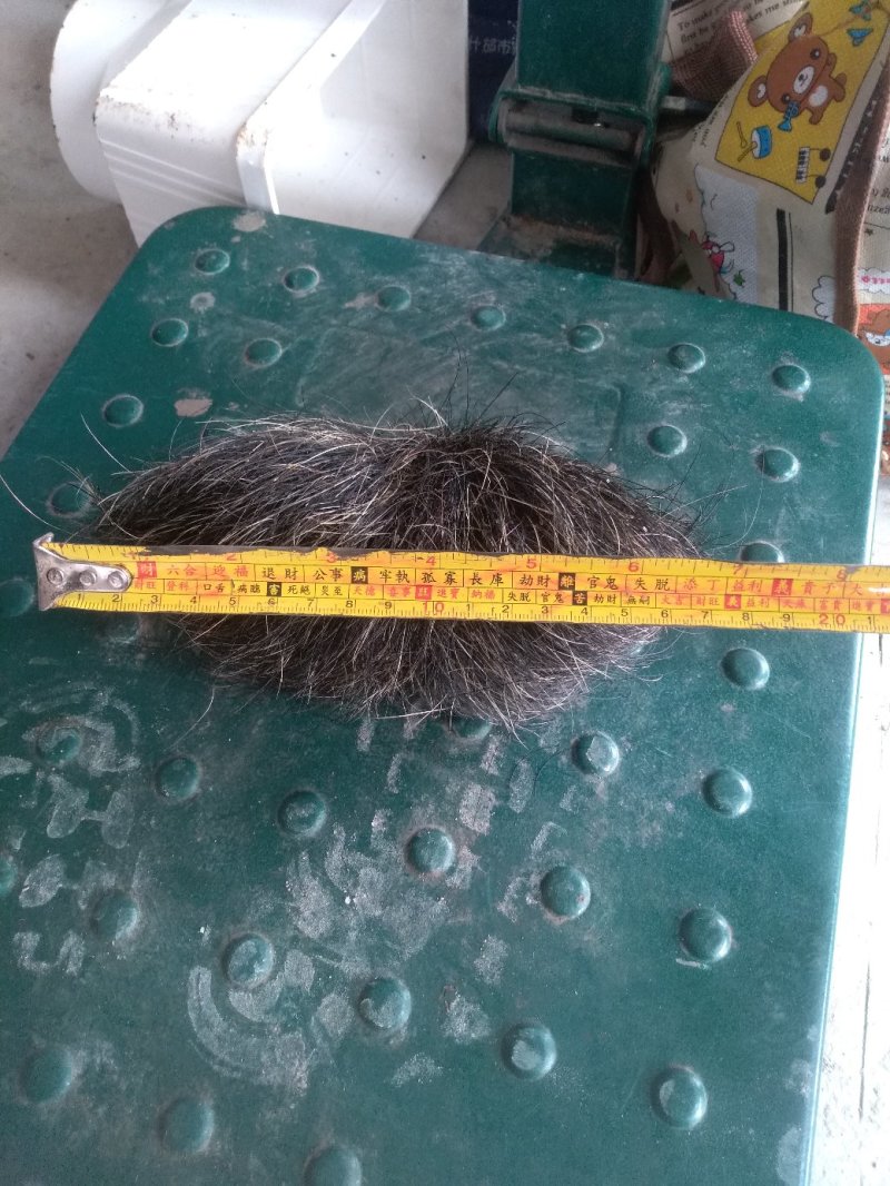 四川中药材动物类猪宝（猪砂）看上的老板联系