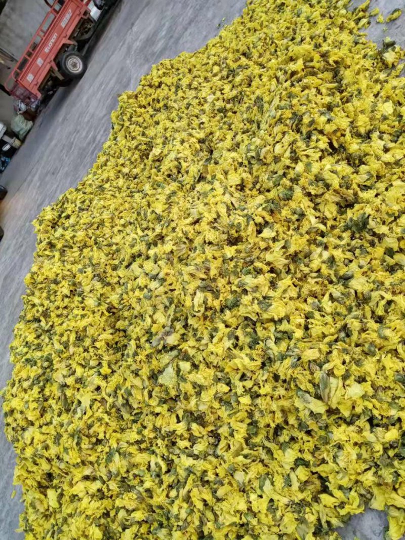 新货黄蜀葵大量加工中，精选统货无黑头