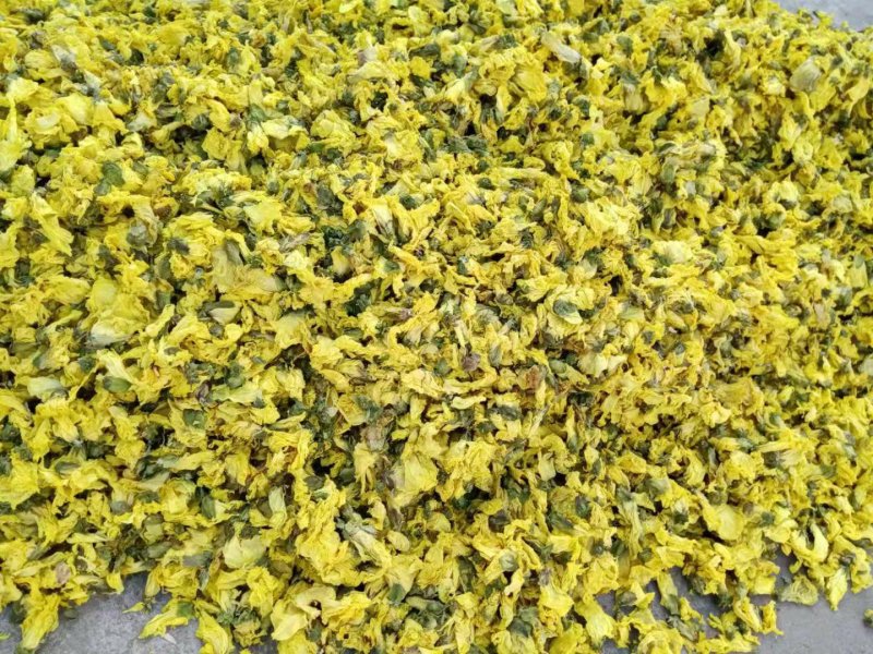 新货黄蜀葵大量加工中，精选统货无黑头