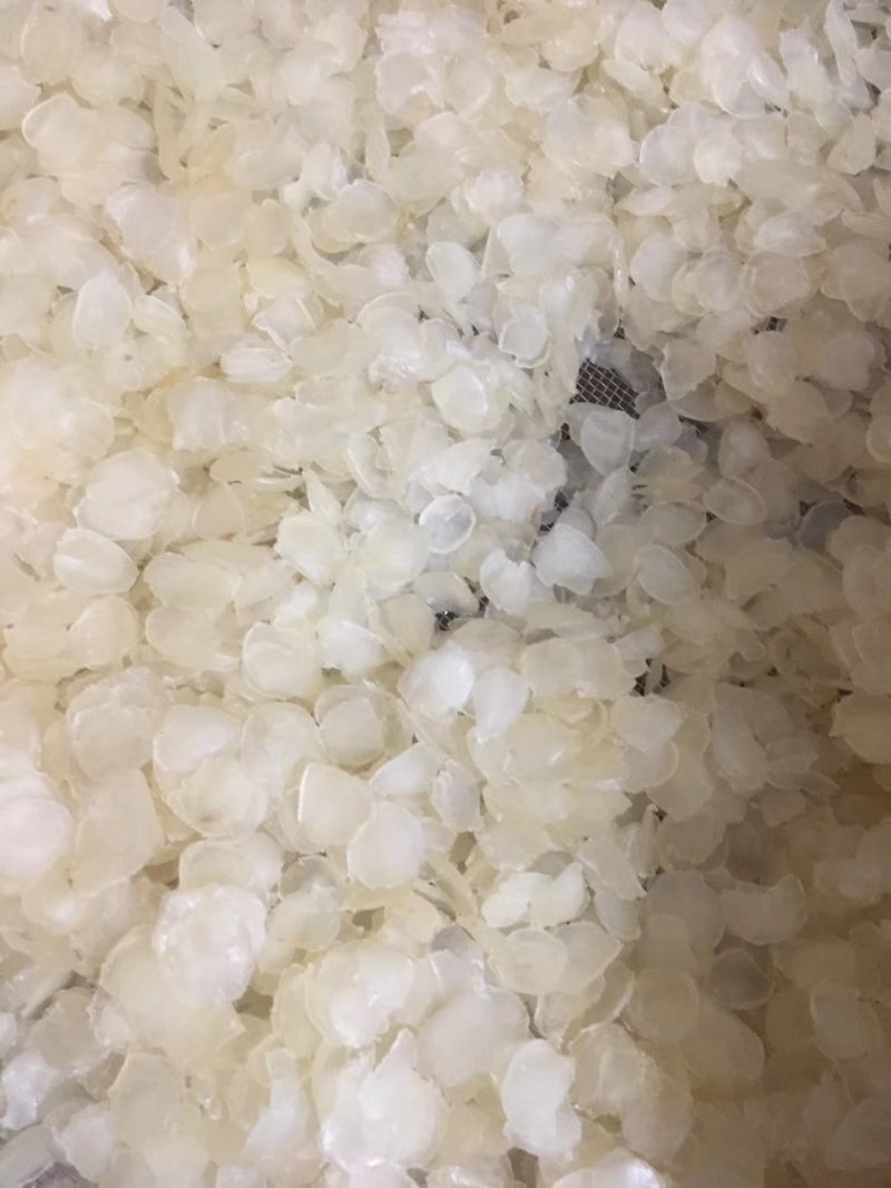 皂角米