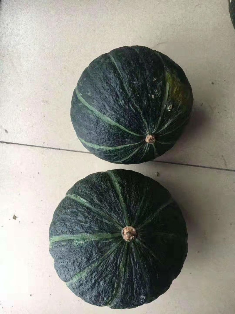 精品南瓜