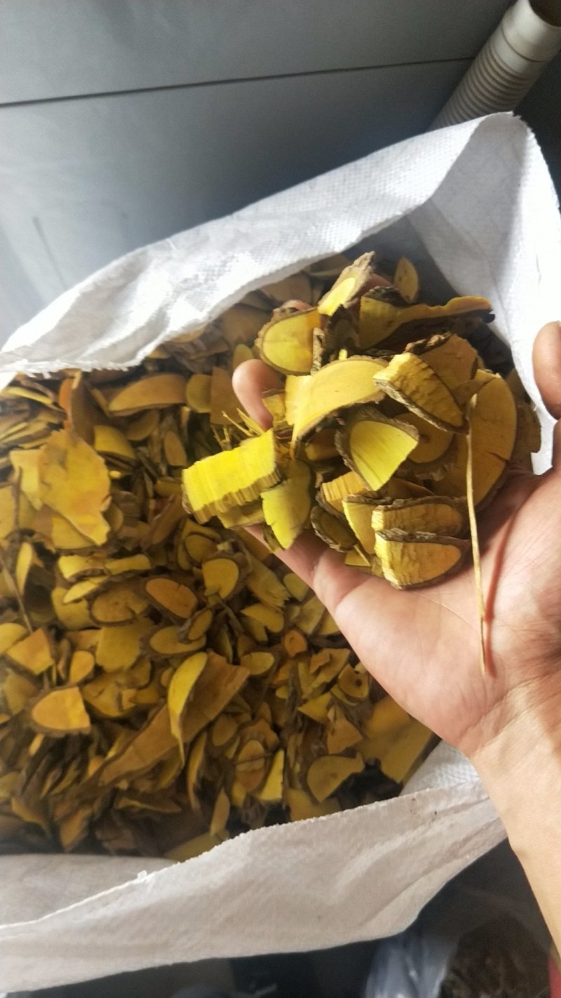 功劳木野生十大功劳木物美价廉，一手货源有大货又名刺黄柏。