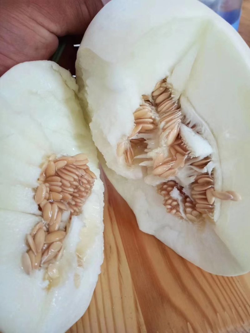 脆梨甜瓜，