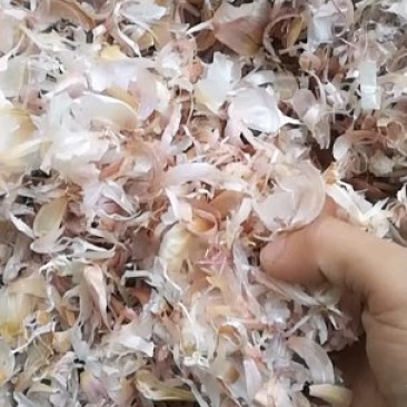厂家直销精品大蒜小皮,蒜皮颗豆秸粒饲料。
