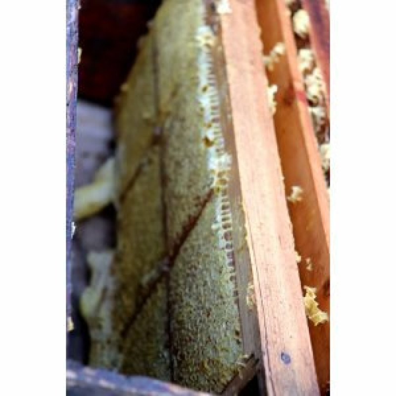 贵州布依阿妈原生态土蜂蜜巢蜜500g-1000g包装规格