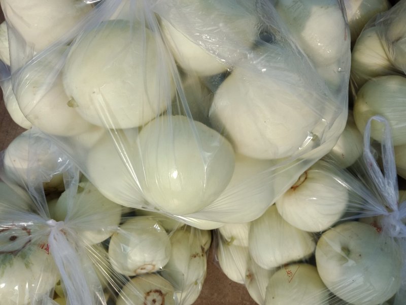 供应大棚头茬甜瓜