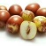 鲜枣