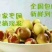 鲜枣