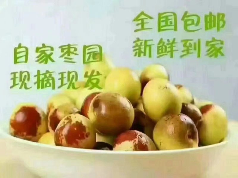 鲜枣