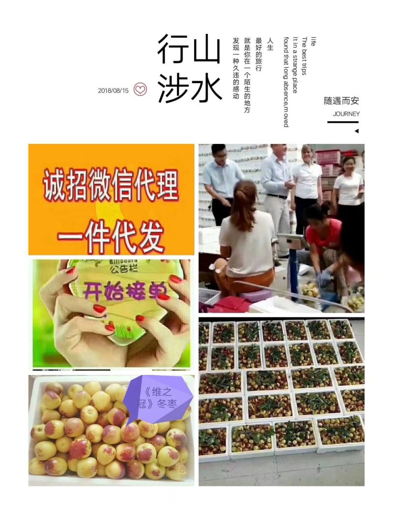 鲜枣