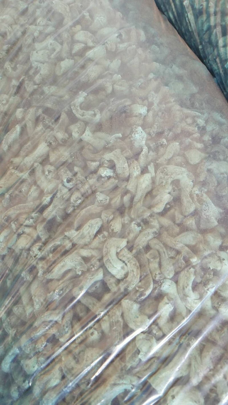 香菇腿