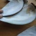 河蚌壳