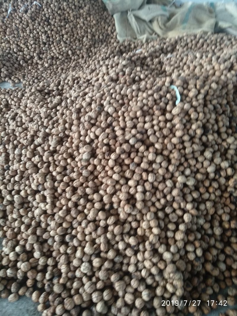 新鲜核桃香核桃