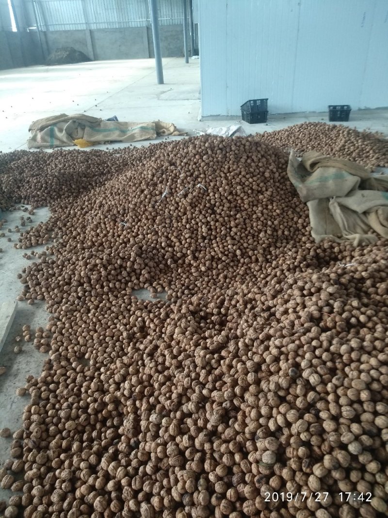 新鲜核桃香核桃