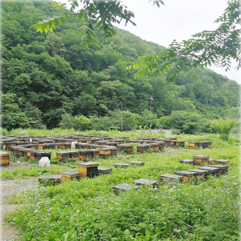 纯天然蜂蜜