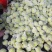 青皮梨规格：200-250g