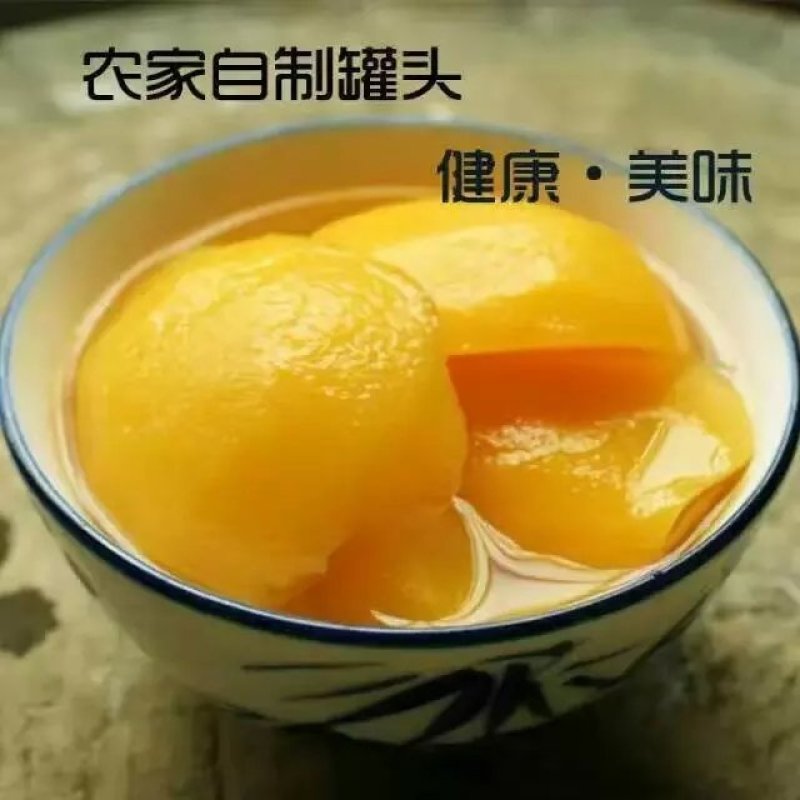 纯品工罐头