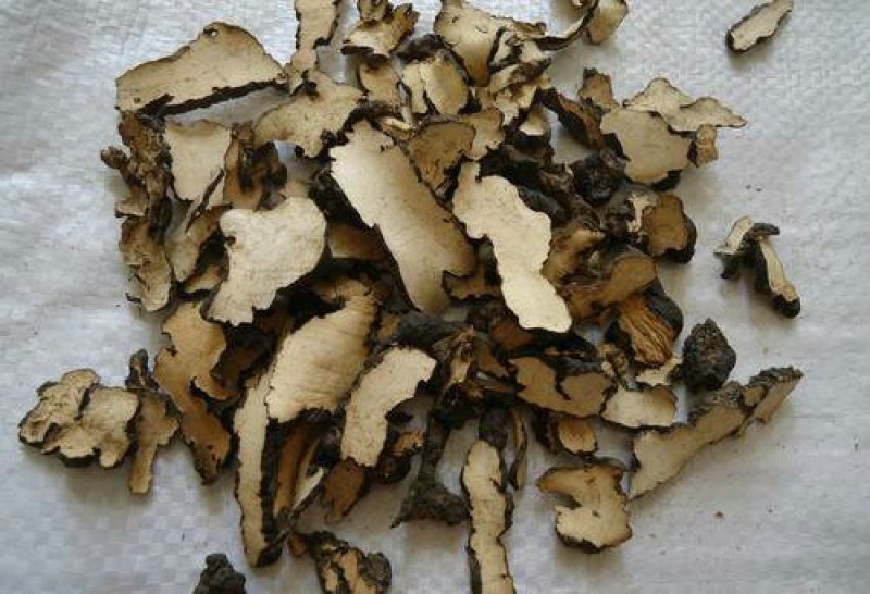 猪苓片优质精选专注品质