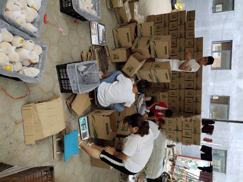 2021年新品丰水梨，对接电商社区团购供应链，一件代发