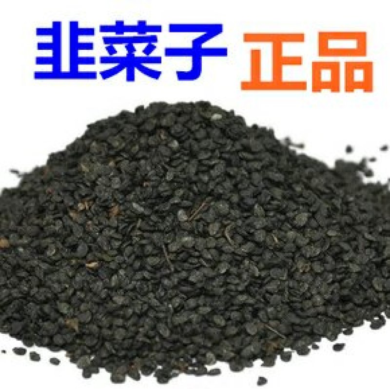 韭菜籽优质精选专注品质