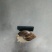 白玉蜗牛