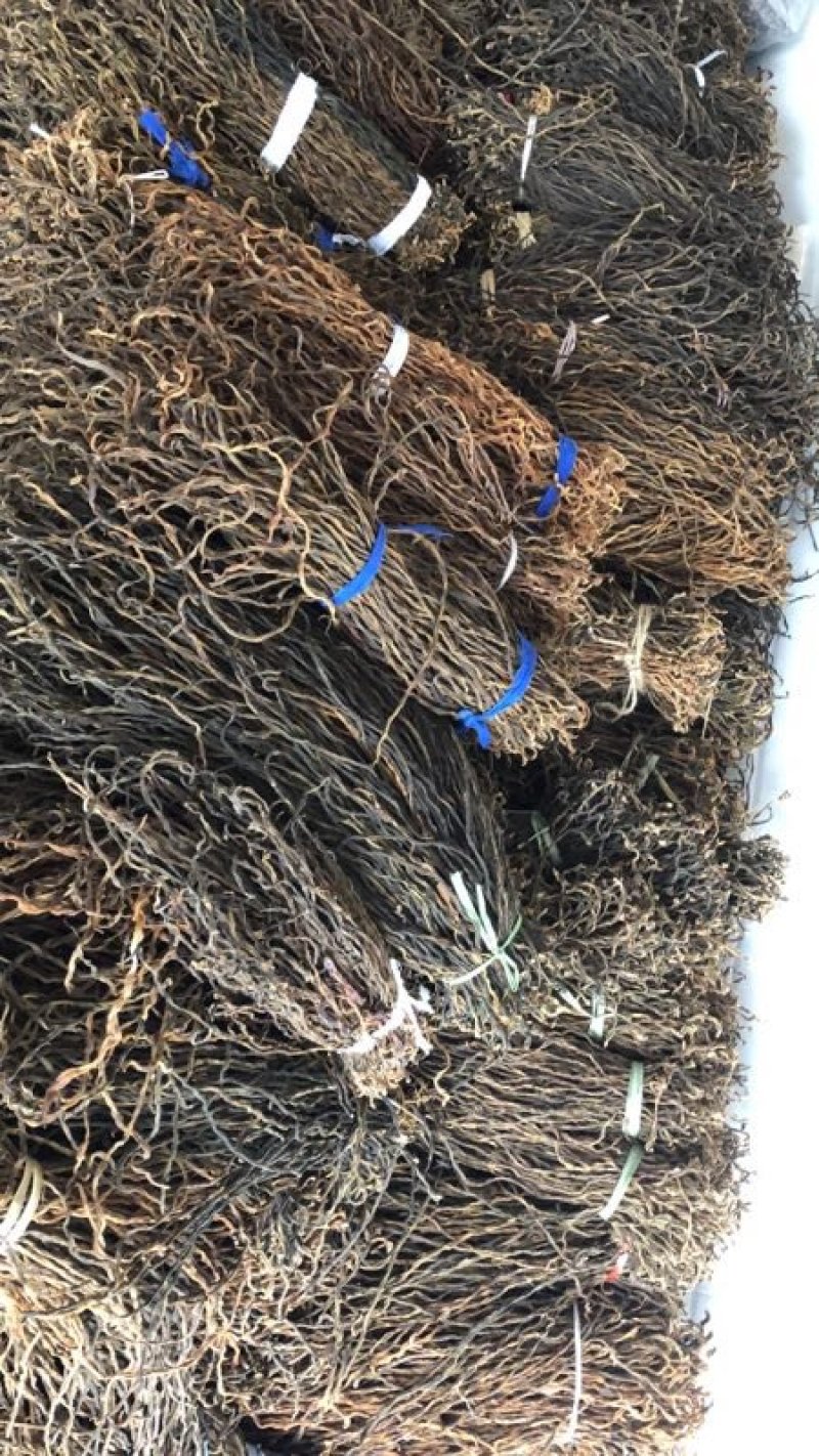 陕西精品干豆角，自然晾晒，价格合理，量大从优。