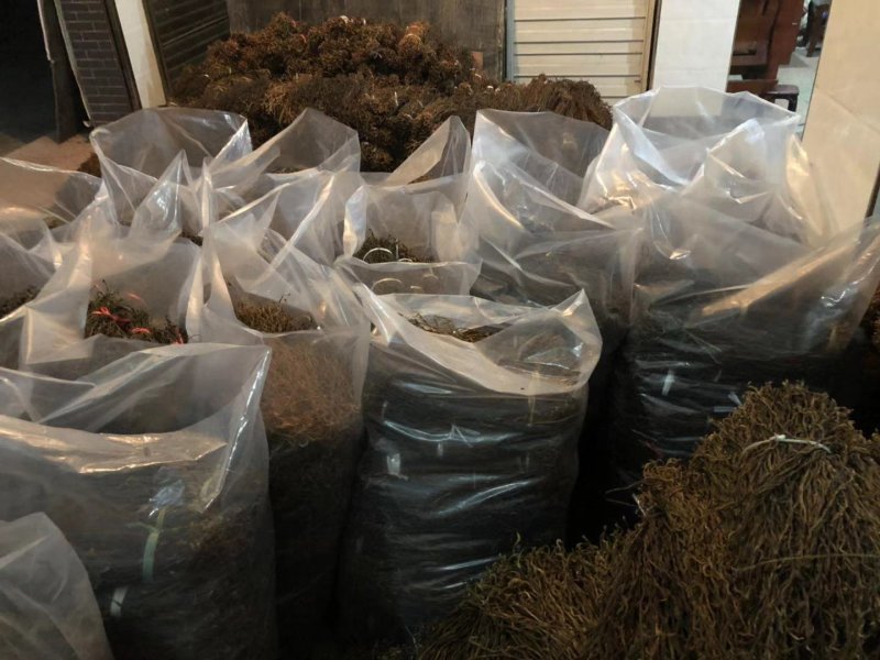 陕西精品干豆角，自然晾晒，价格合理，量大从优。