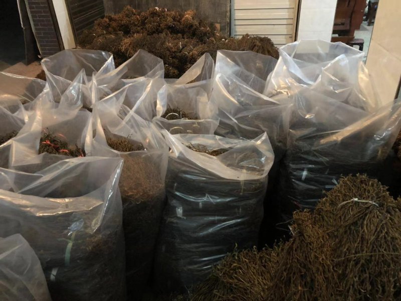 陕西精品干豆角，自然晾晒，价格合理，量大从优。