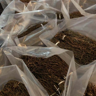 陕西精品干豆角，自然晾晒，价格合理，量大从优。