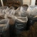 陕西汉中干豆角特价处理电商商超2024年新品无硫基地原品