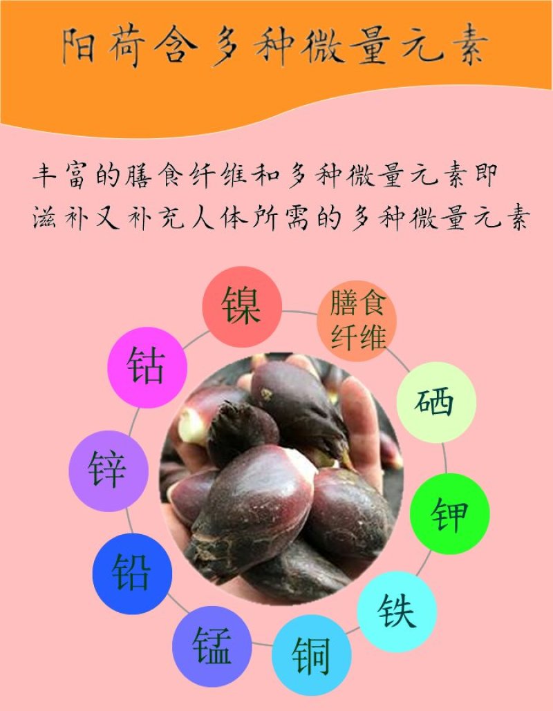 阳荷新鲜阳霍洋荷洋霍