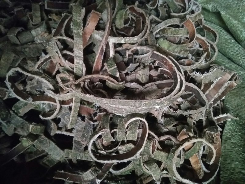 杜仲皮统丝