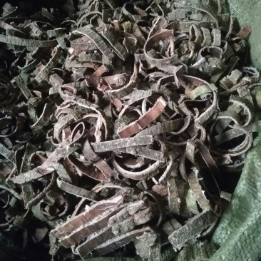 杜仲皮统丝