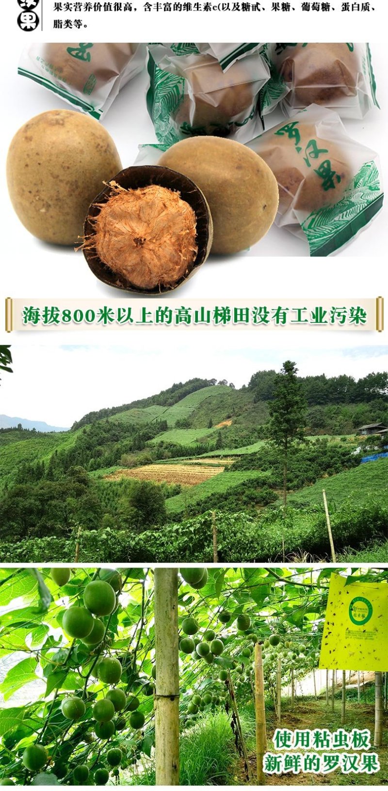 罗汉果.原产地发货广西桂林特产低温电烤罗汉果批发零售