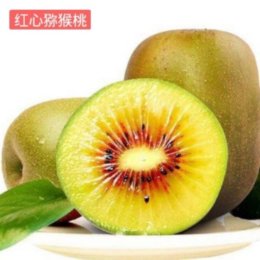 预售，红心猕猴桃5斤重