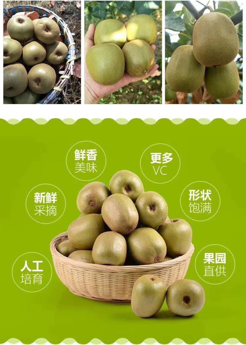 预售，红心猕猴桃5斤重