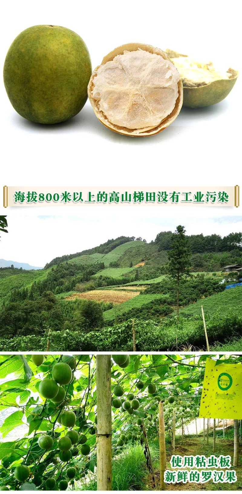 广西桂林特产低温冻干黄金罗汉果单个包装原产地一件发货