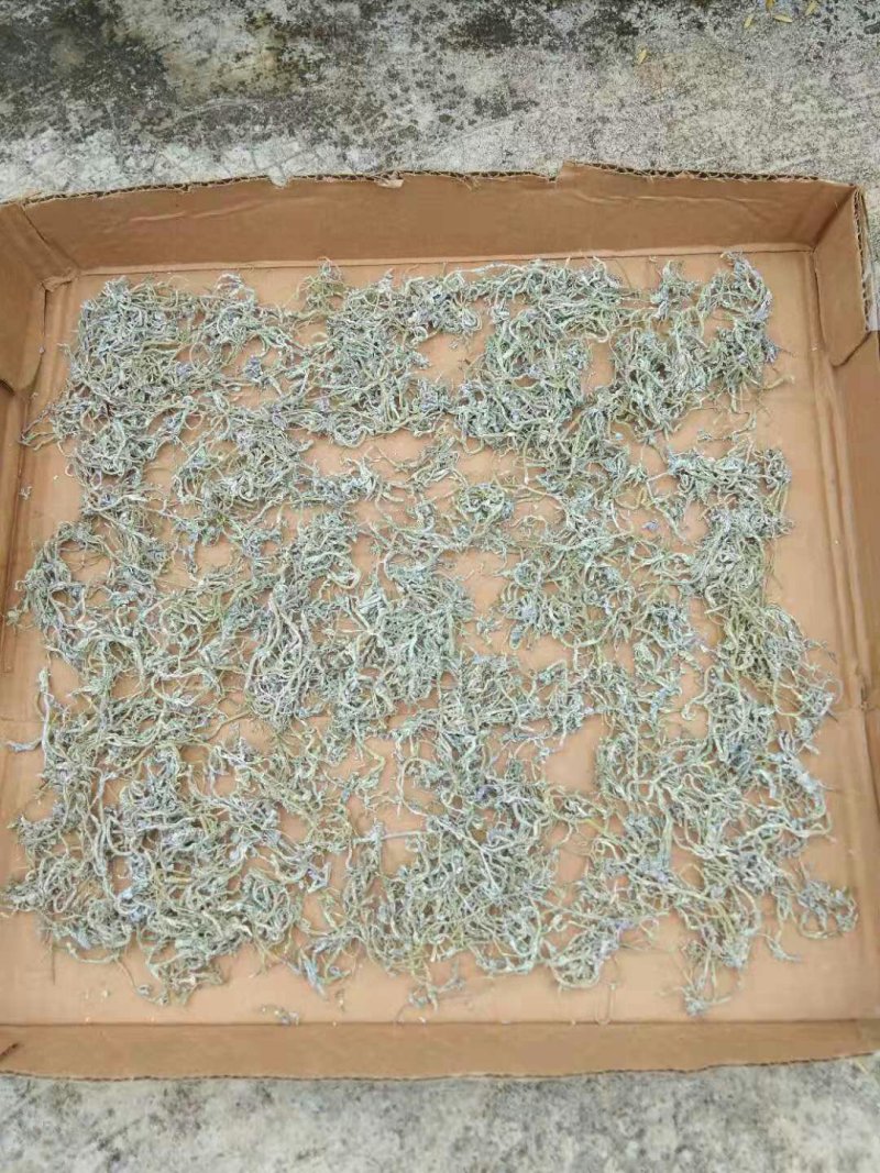 各位老板有需要我的野生莓茶可以联系我。
