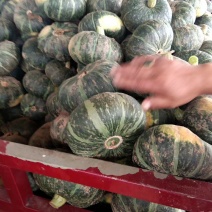 南瓜一斤半以上扁圆形精品板栗南瓜供应各大电商平台