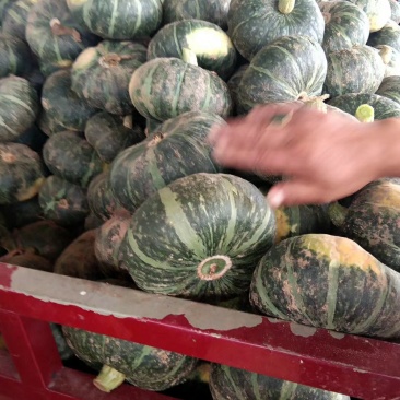 南瓜一斤半以上扁圆形精品板栗南瓜供应各大电商平台