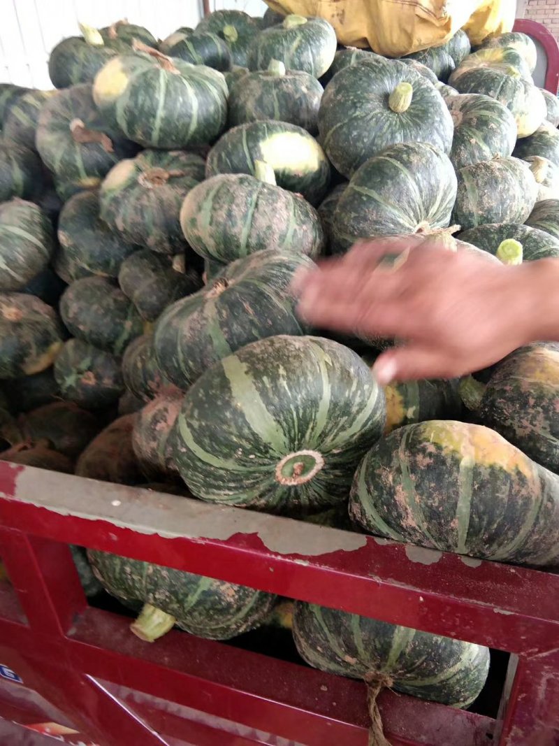 南瓜一斤半以上扁圆形精品板栗南瓜供应各大电商平台