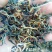 云南红茶，晒红料