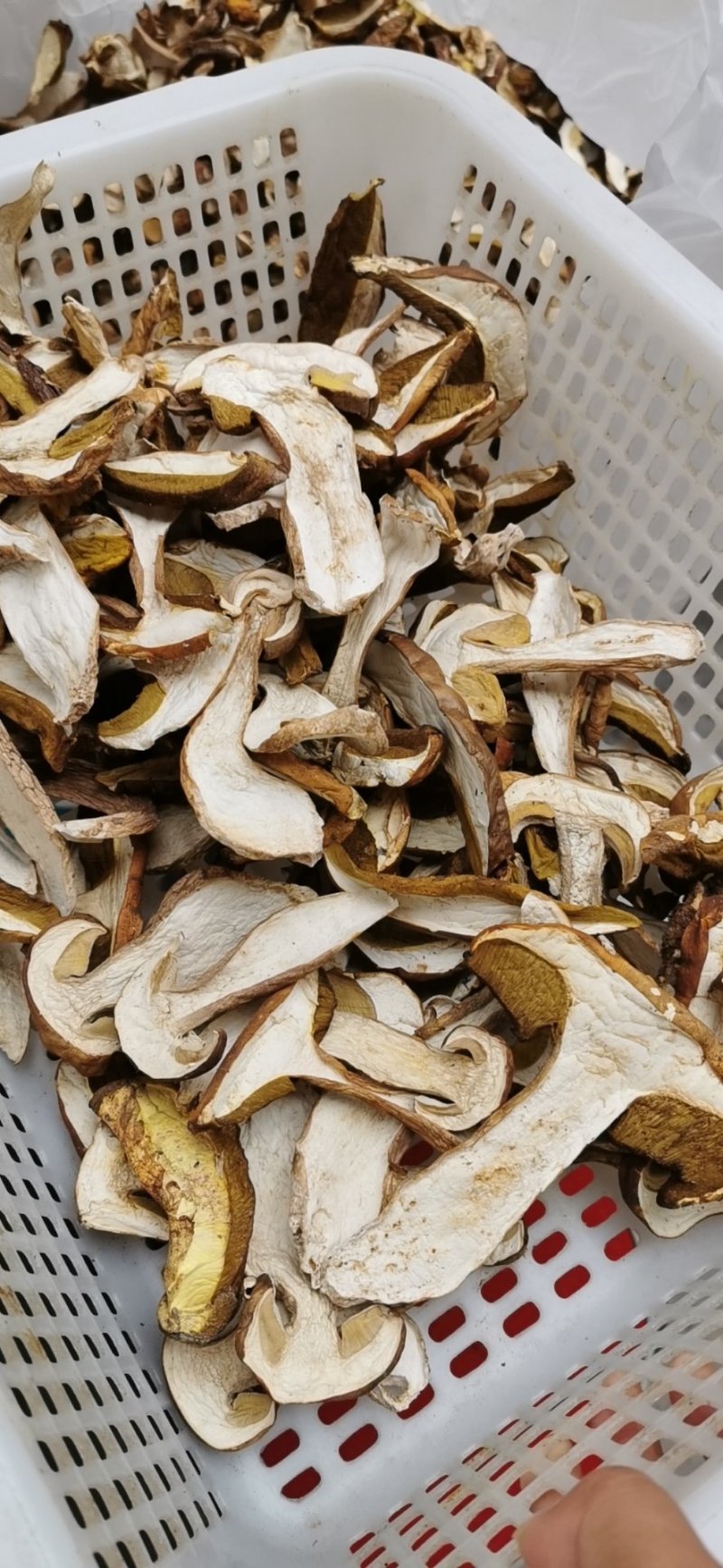 24年新货美味牛肝菌干片野生食用菌干货白牛肝