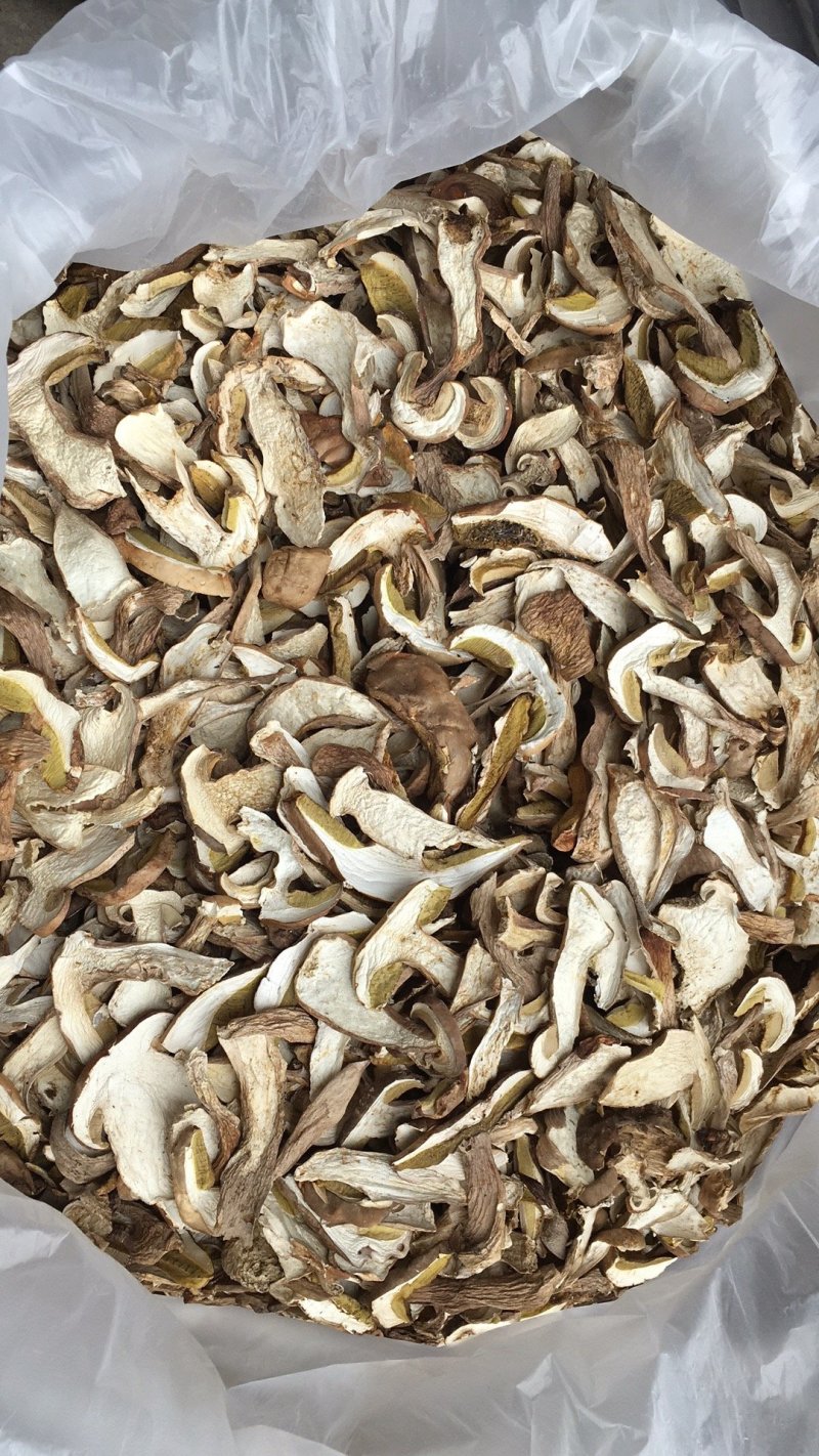 24年新货美味牛肝菌干片野生食用菌干货白牛肝